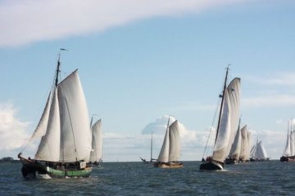 Zeilschip Vertrouwen Bontekoerace 2.jpg