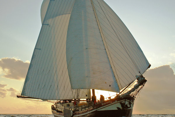Waterwolf Beurtveer 2008.jpg